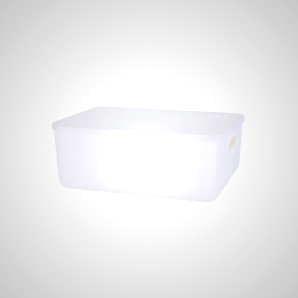 Easy Pull Storage Bin with Lid - Dust-Proof & Convenient Access