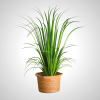 Giant Artificial Grass Plant for Home Decor