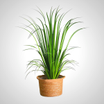 Giant Artificial Grass Plant for Home Decor