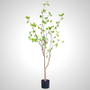 Chinese Mahogany Artificial Plant - Lifelike Decor