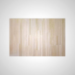 Austin Carpet - Woodgrain Design & Soft Texture