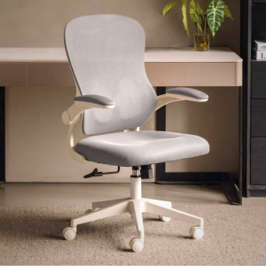 Astrea Ergonomic Office Chair with 3D Lumbar Support